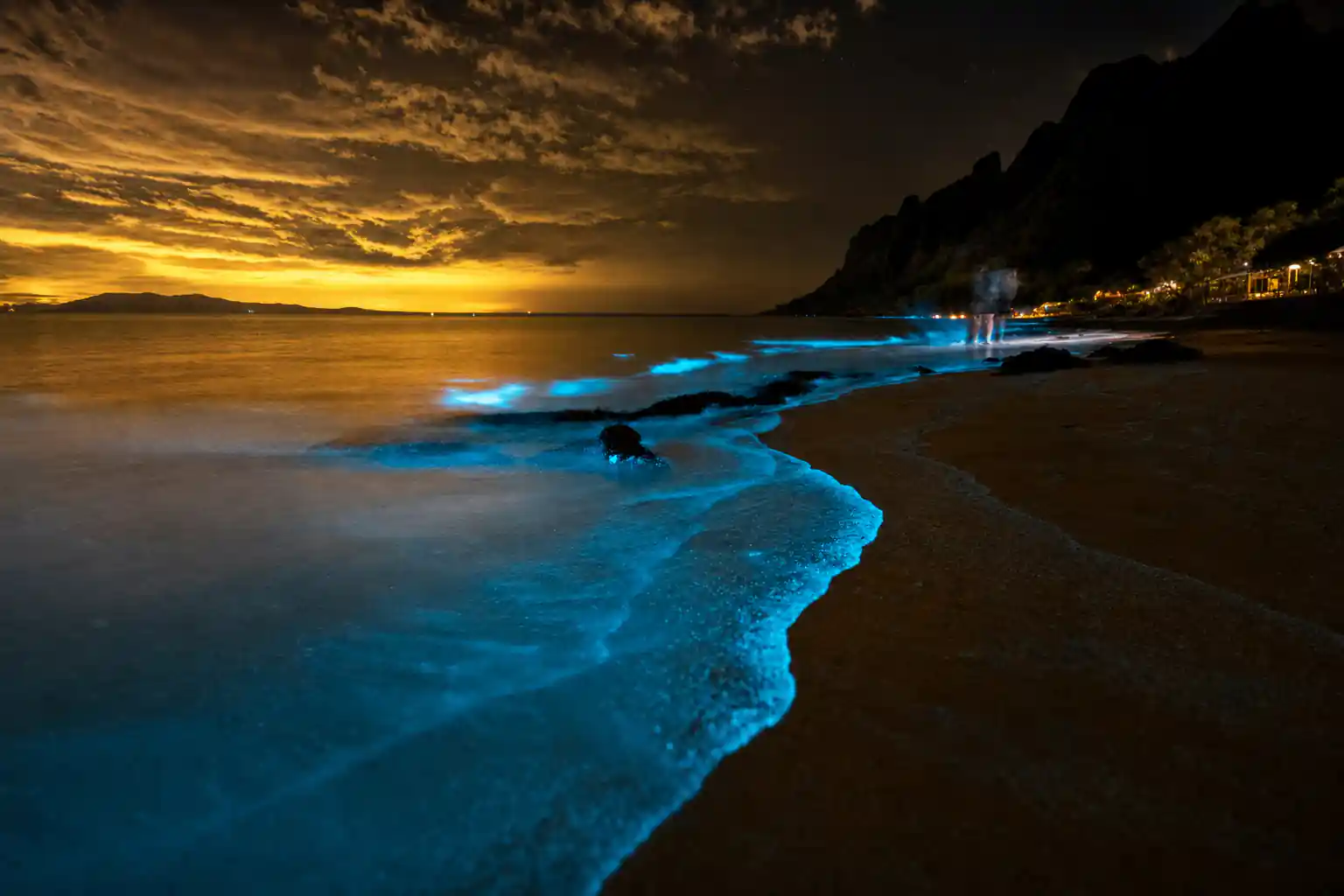 Phang Nga Bay Bioluminescent Plankton and Sea Canoes