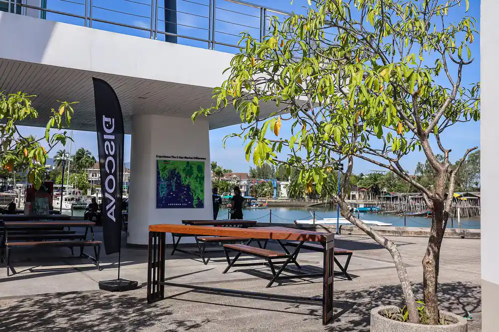 Modern waterfront pavilion with wooden bench and palm tree